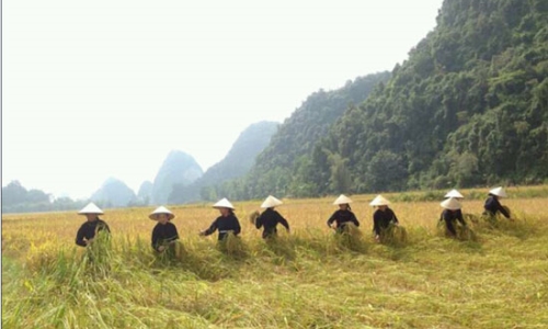 Xã biên giới Phong Châu cán đích nông thôn mới